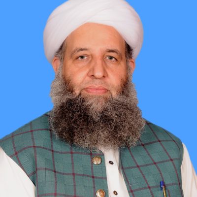 Noor ul Haq Qadri MNA